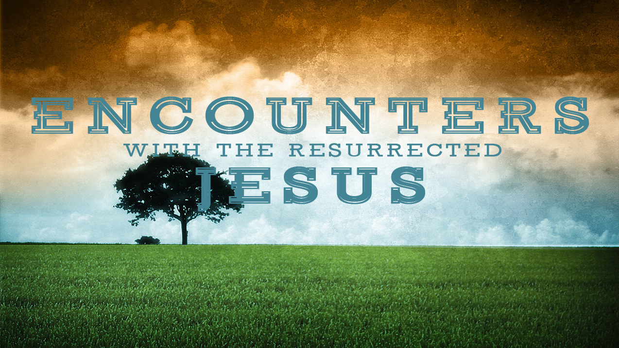 Contemporary Live Stream