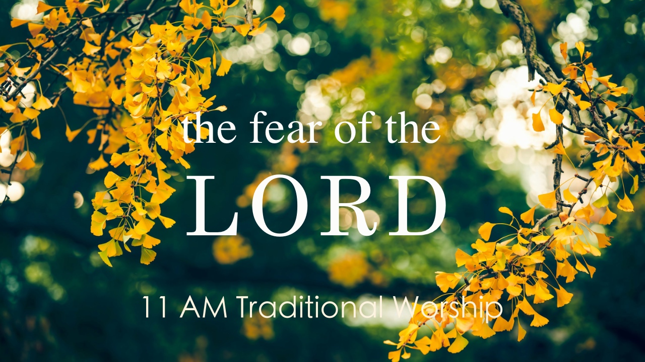 Traditional Live Stream